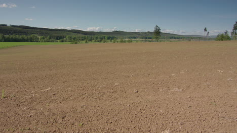 Lapso-De-Tiempo-De-8-Semanas-Se-Aleja-Del-Campo-Labrado-A-Exuberantes-Cultivos-Verdes