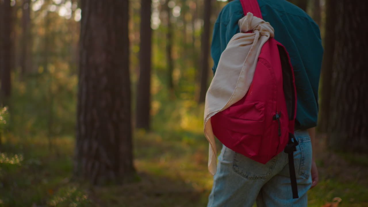 vista trasera de una persona con camisa verde y vaqueros azules, con una bolsa roja y un pañuelo beige drapeado sobre ella, mientras la luz del sol dorada crea un brillo cálido a través de los árboles del bosque