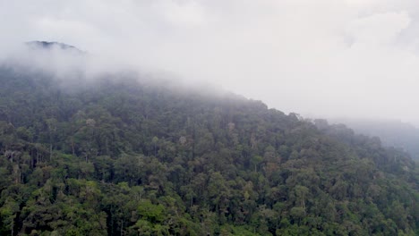 drone moving backward and captures cloud covered, densely wooded mountain in the city of brinchang in the pahang, malaysia