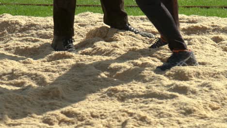 schwinger in switzerland at a traditional sports event