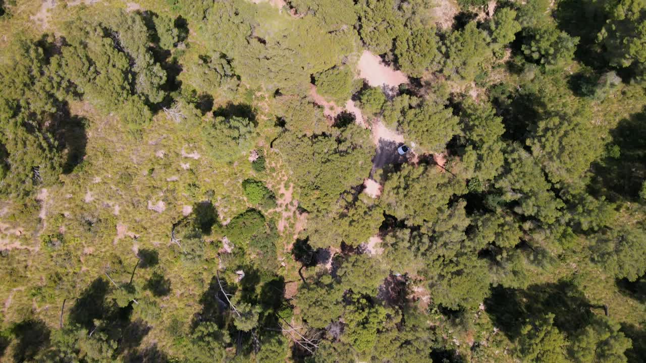 Explore the picturesque natural landscape of Coll Baix near Puerto de Alcudia in Mallorca. Lush greenery and serene surroundings invite outdoor enthusiasts to enjoy hiking and relaxation.