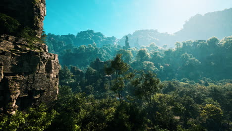 a beautiful view of a mountain range with a forest in the foreground