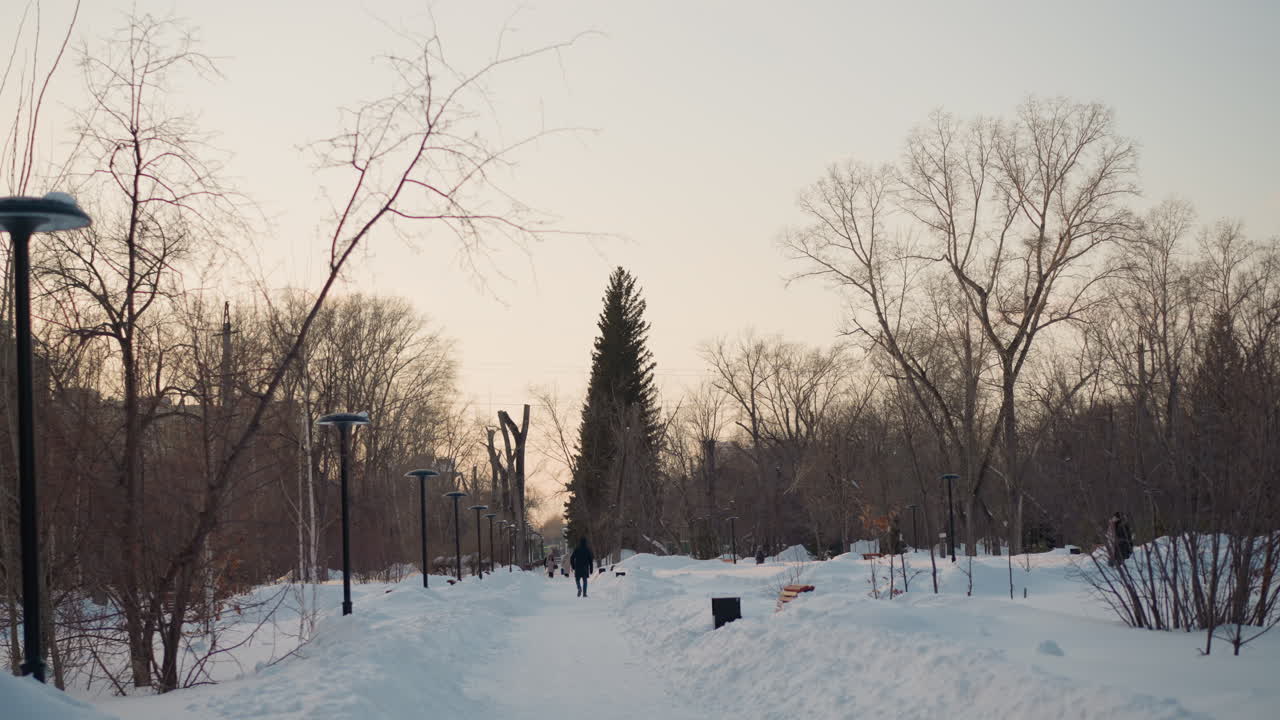 Snow covered path in park with people walking under street lamps lined by bare branches and pine trees, soft winter sunlight creating glistening frost on white landscape under clear cold sky