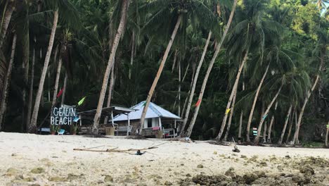 Schiefe-Kokospalmen-Und-Häuschen-Am-Strand