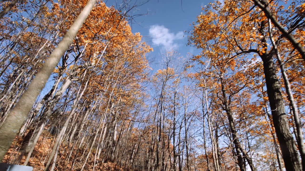 движущиеся снимки окрестностей маунт-рояль осенью в монреале, квебек, канада