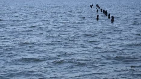 dark blue waves with weathered posts framed in background