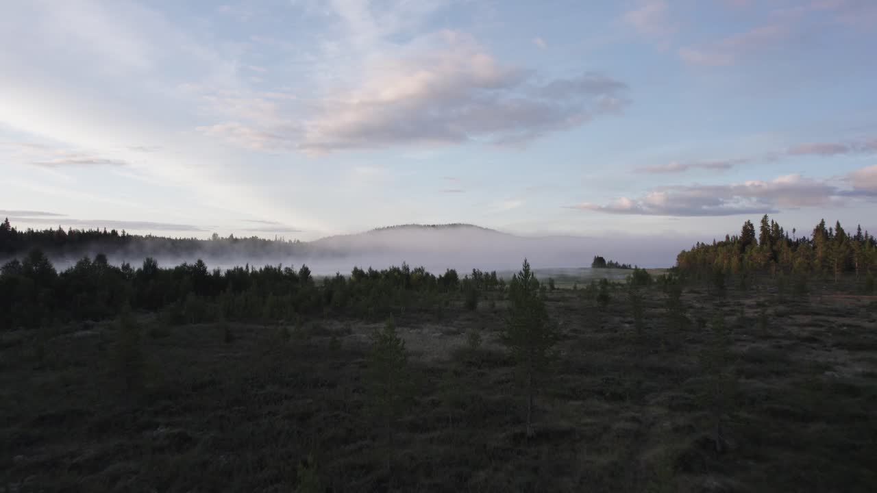paisaje forestal noruego con niebla matutina sobre un lago lejano