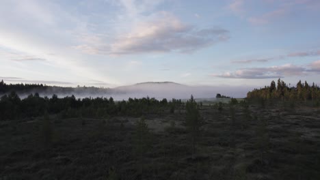 norwegian forest landscape with morning fog over distant lake aerial shot