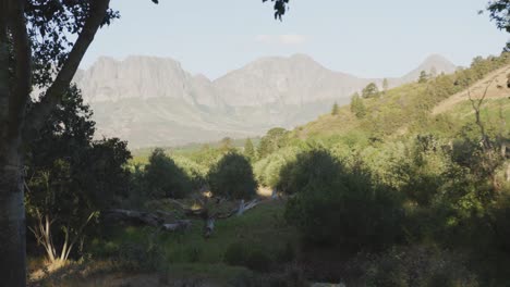 vista de un río y montañas en el fondo durante un día soleado