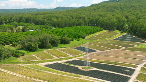 Drone-Flyover-Colorful-Rural-Farmland-Fields-With-Powerlines-And-Trees,-4K-Australia