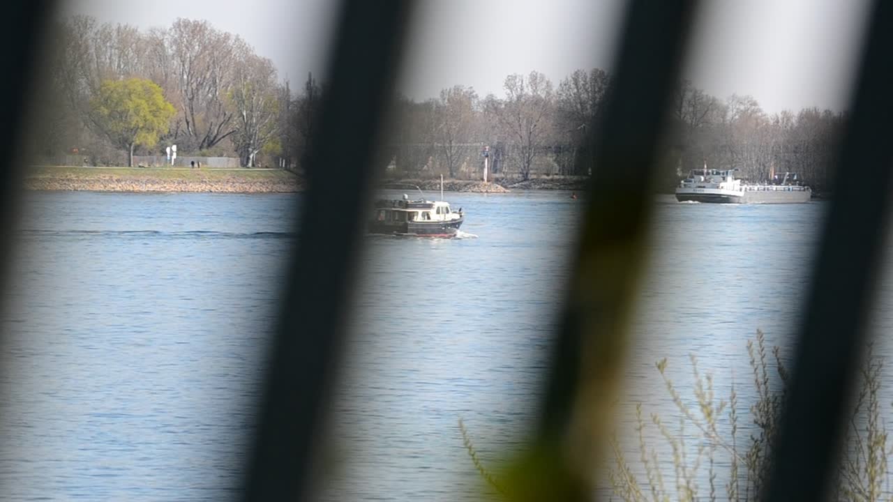 화창한 오후에 라인강 위를 달리는 작은 화물선