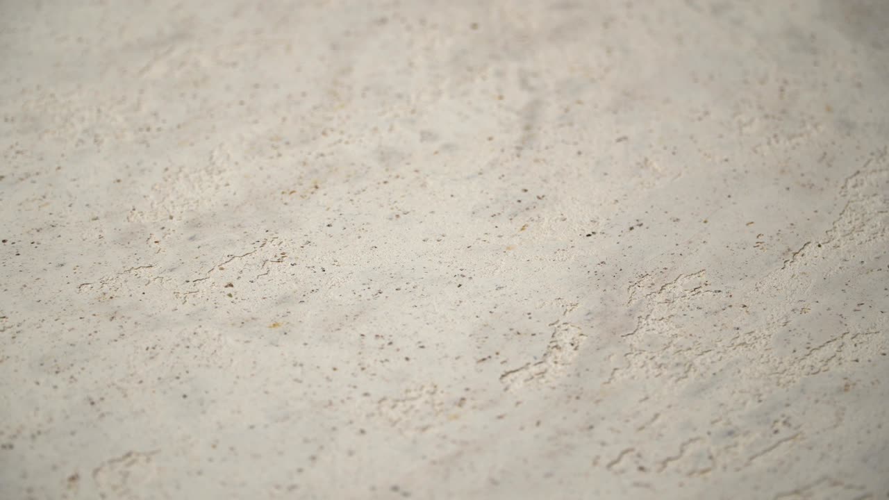 다채로운 예술적 배경