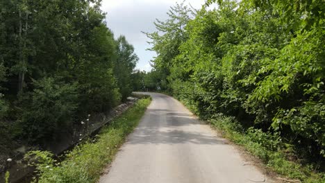 Luftdrohnenstraßenbäume-Auf-Beiden-Seiten