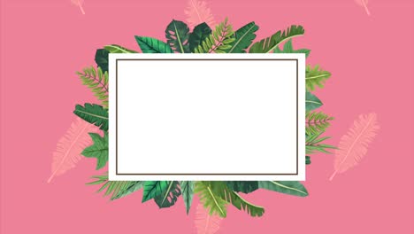 exóticos tropicales hojas ecología animación en marco cuadrado fondo de color rosa