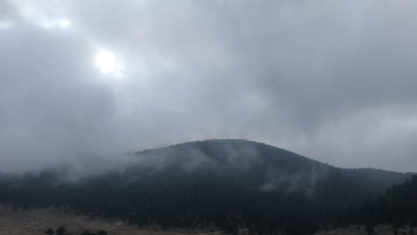 winter forest time lapse on the dolomites