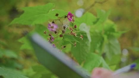 close up of female researcher hand holding pen while gently inspecting blooming wildflower in lush green forest, capturing botanical data and environmental