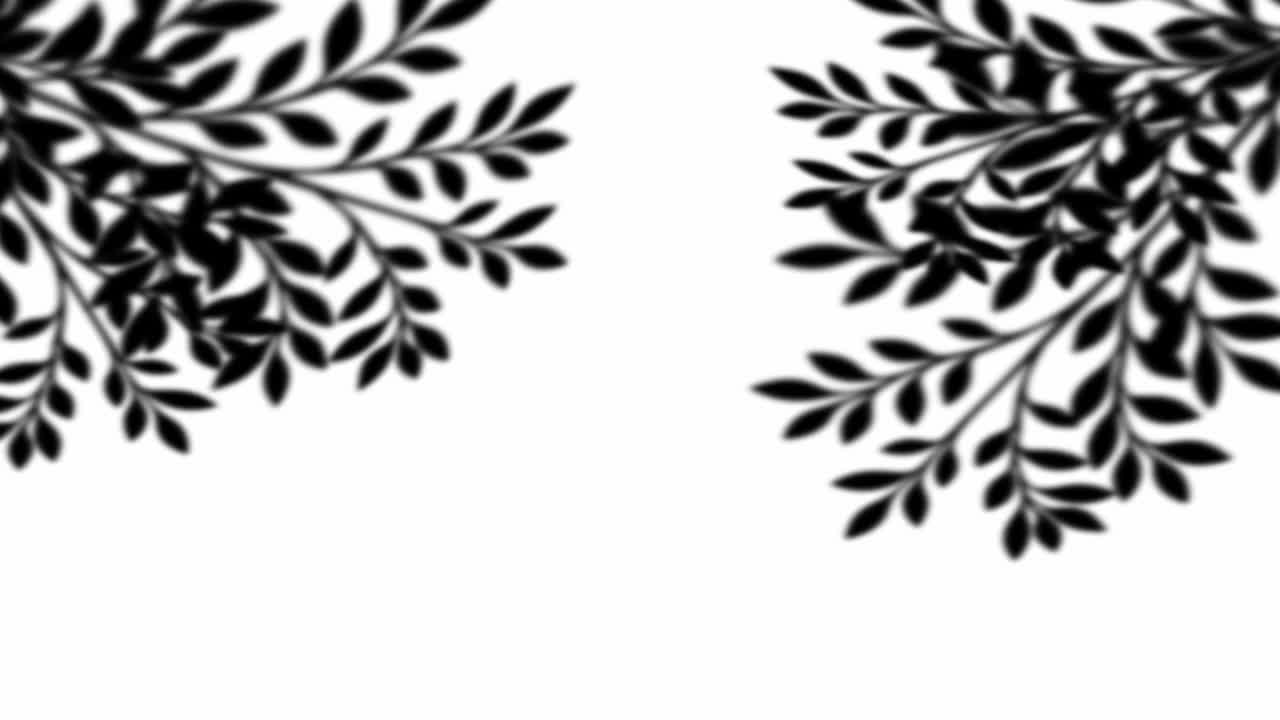 Black shadows of leaves and branches sway gently in corners. Seamless loop for adding realistic, natural light effect to scenes, mockups, or as minimalist background with copy space