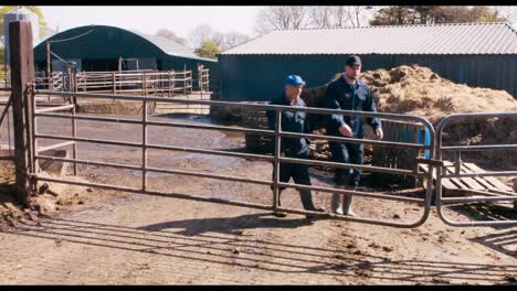 Two-cattle-farmers-interacting-with-each-other-while-walking