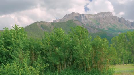 Looking-out-over-the-green-treetops-to-the-mountain-peaks-in-the-distance-above-Barcelonnette,-France