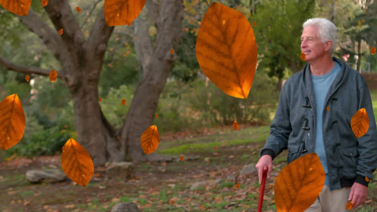 animación de hojas de otoño que caen sobre un hombre mayor caucásico feliz en el parque