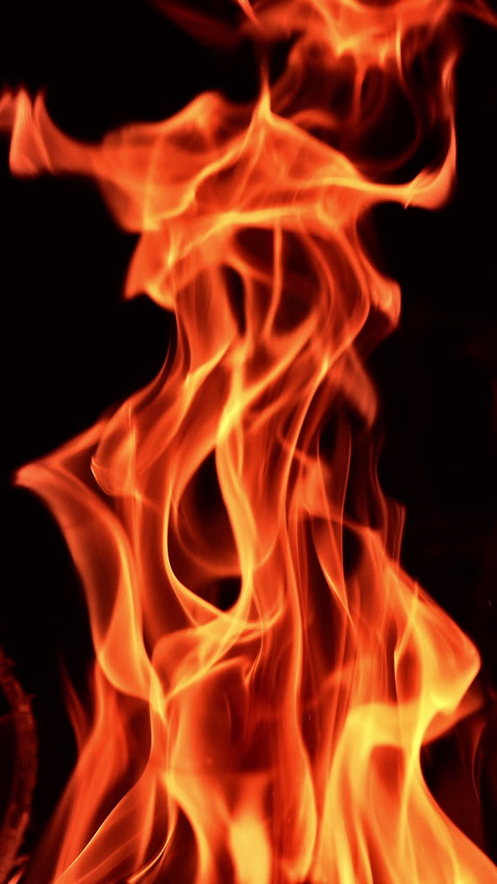 Blaze of burning campfire in the dark night. Cozy little bonfire with flames striving up. Close up. Vertical video