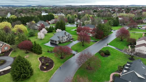 luxury villas and mansion in suburb neighborhood of usa