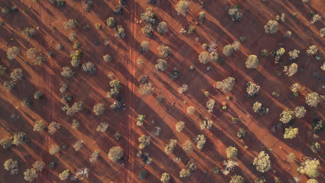 오스트레일리아 사막, 서 오스트레일리아, 일몰 때의  ⁇ 길