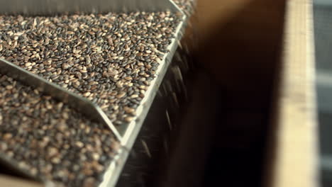 Seeds-are-sorted-during-processing-at-factory.-Equipment-for-seed-sorting