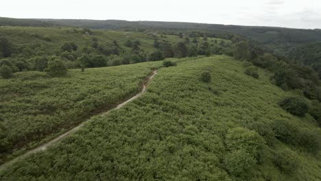 4k-Aerial-footage-of-sandstone-rock-formations-in-Dalby-Forest,-North-Yorkshire