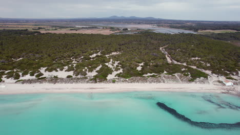 hidden paradise beach of playa del trench with protected nature surroundings in balearic islands, mallorca spain