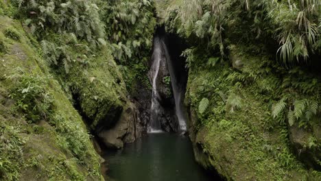 green lush jungle splashing waterfall rocky moss covered cove environment