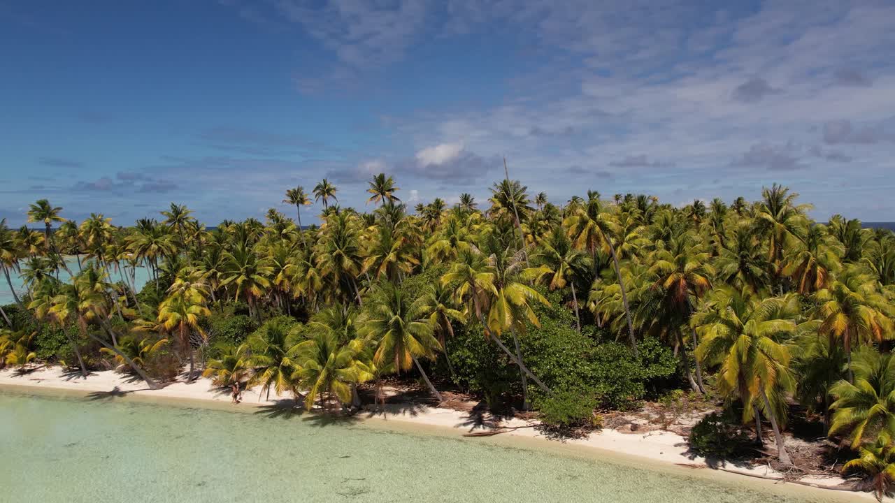 Splendida ripresa aerea con drone di una bellissima piccola isola nella laguna tropicale di Fakarava