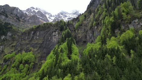 árboles-Alpinos-Verdes-Cubren-Los-Valles-De-Los-Majestuosos-Alpes-Suizos,-Vista-Aérea