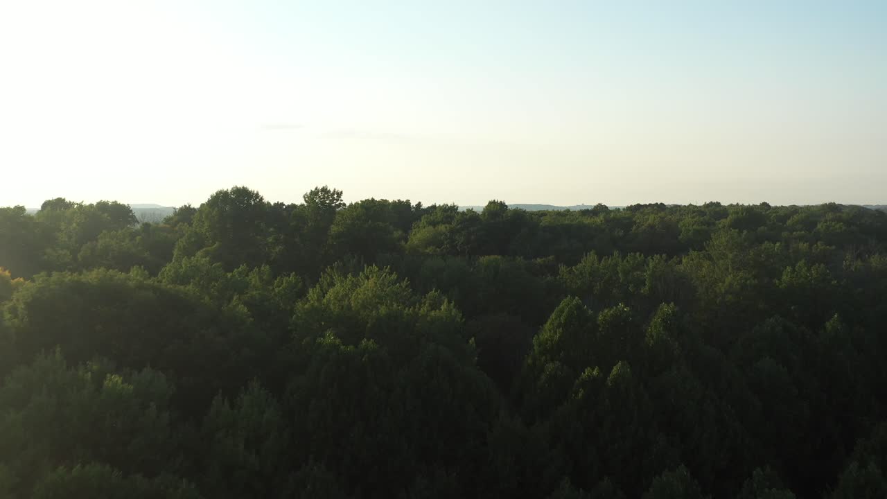 조셉 스미스 가족 농장, 프레임 하우스, 사원, 몰몬과 몰몬경을 위한 뉴욕 팔미라의 방문객 센터 근처의 신성한 숲 위의 나무 꼭대기