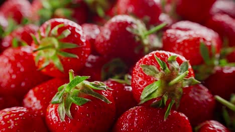 fresh strawberries