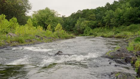 lush river landscape. 60fps. beavers bend o.k