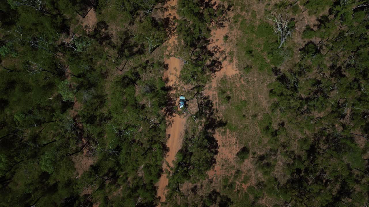 검나무와 숲 사이의 블루마운틴 국립공원 아웃백 먼지투성이 흙길에 있는 현대적인 은색 자동차