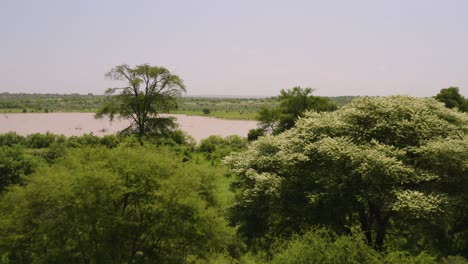 volando bajo sobre las llanuras africanas a través de árboles a un pozo de agua en un paisaje impresionante