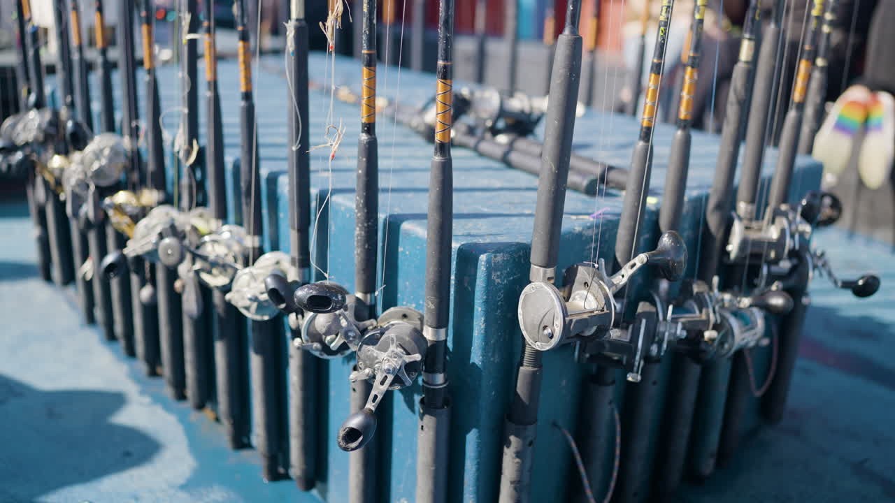 Fishing Rods Stored
