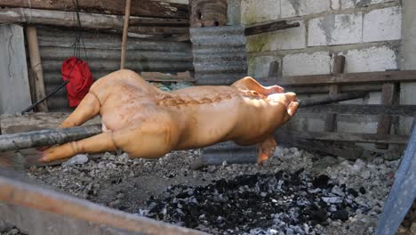 22 de abril de 2023 ciudad de danao, cebu, filipinas - un lechon bebé o cerdo lactante está siendo asado sobre un fuego de carbón