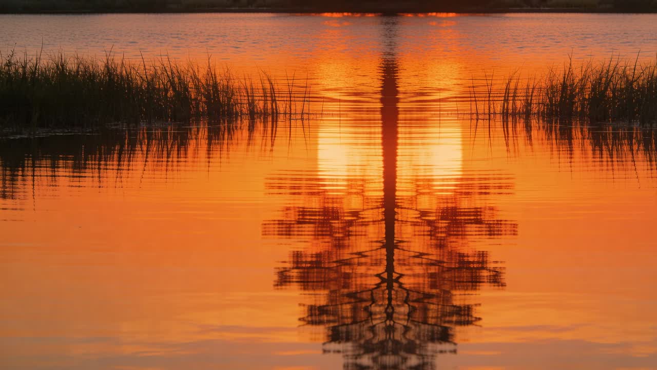 Central reflection shifting in wetland sunset, wind creating ripples distorting glow for landscape