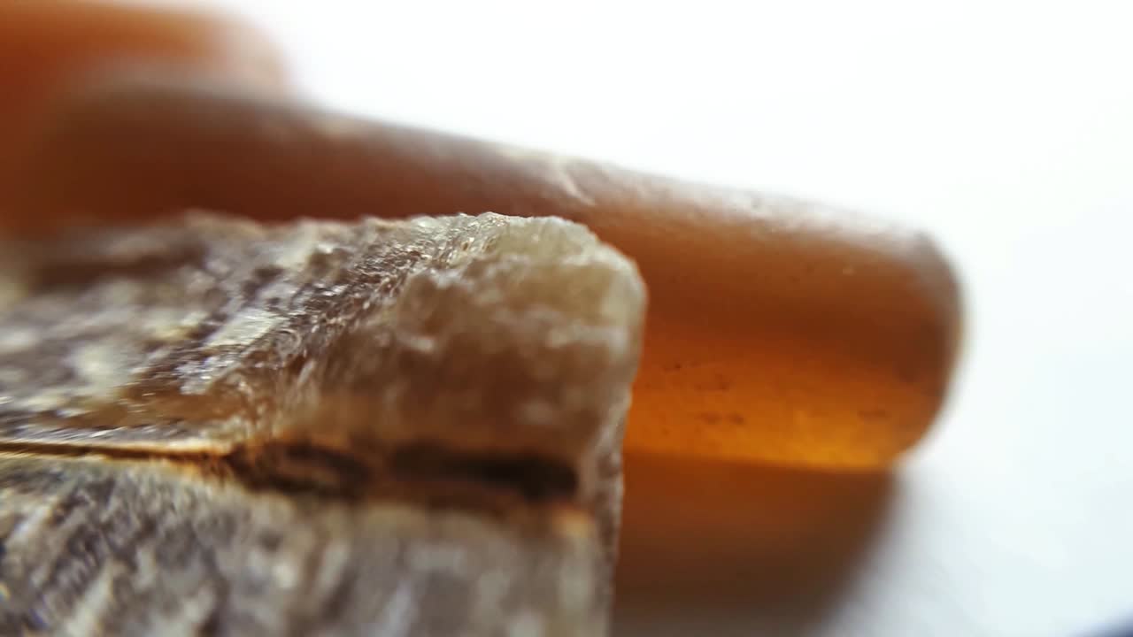 belemnits fosilizados en blanco. primer plano macro foto de estudio-10