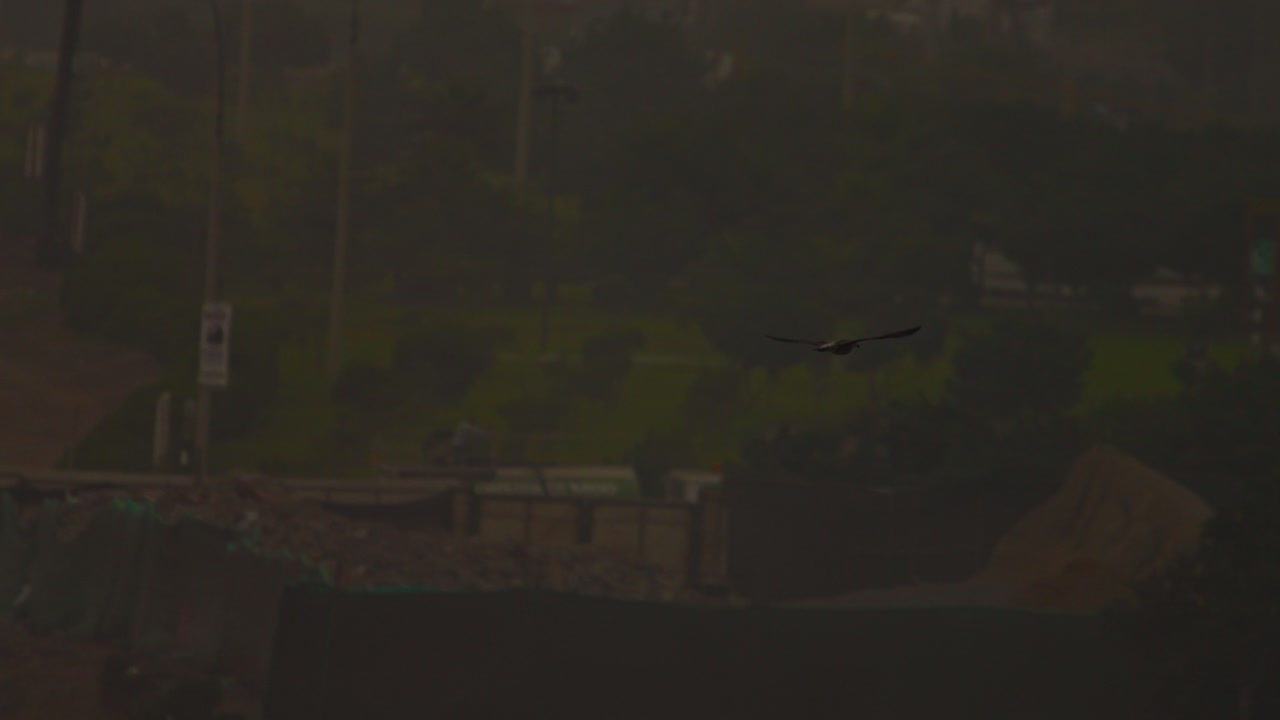 A bird flies over a foggy landscape, with a distant view of construction work