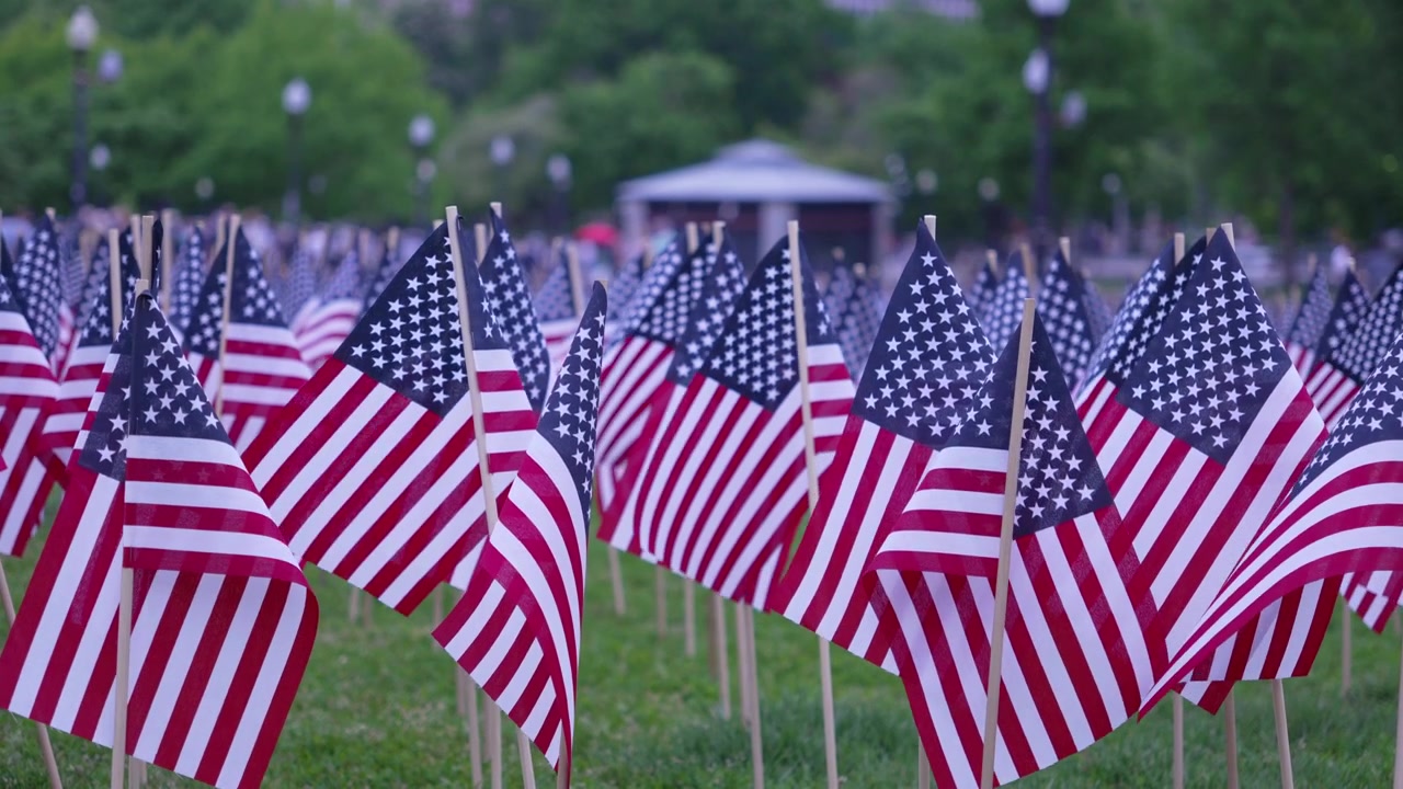 Close-up of numerous small American flags planted on green lawn for Memorial Day in Boston, United States