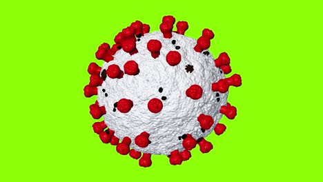 coronavirus virus model