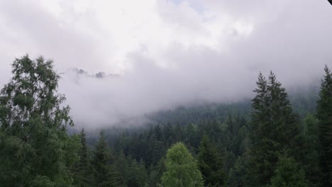 Nebelwolke-Bewegt-Sich-Langsam-Auf-Die-Baumwipfel-Des-Waldes-Zu-Und-Verbirgt-Sie