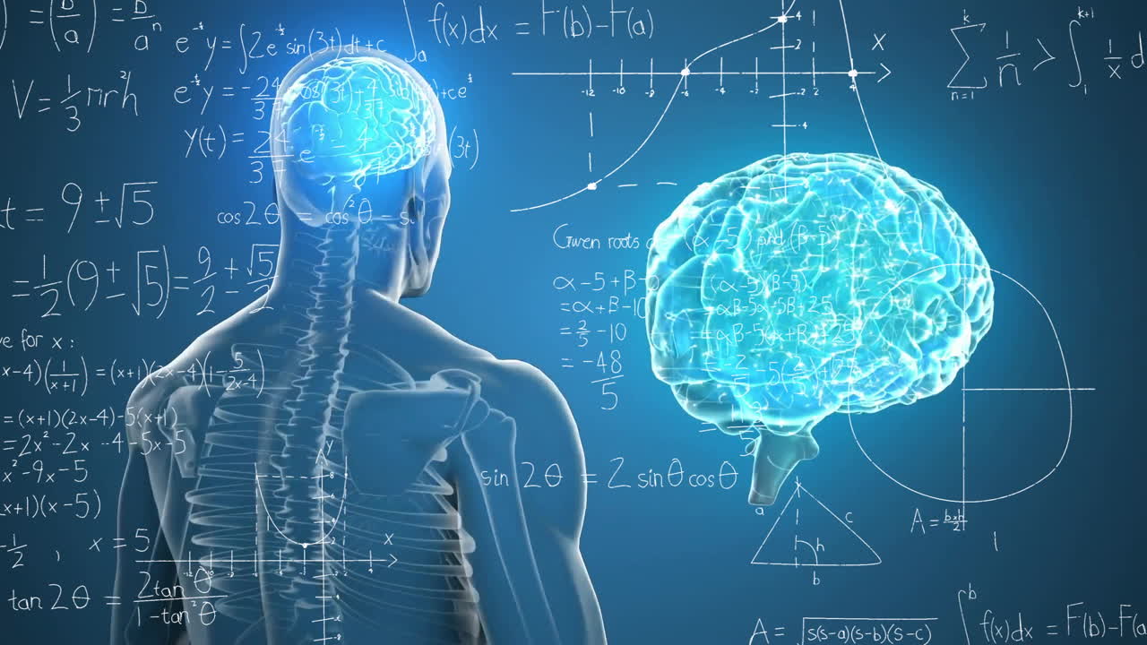Animation of human skeleton and brain with mathematical formulas in school setting