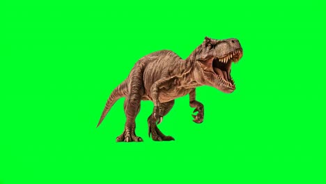 trex dinosaur isolated on green screen
