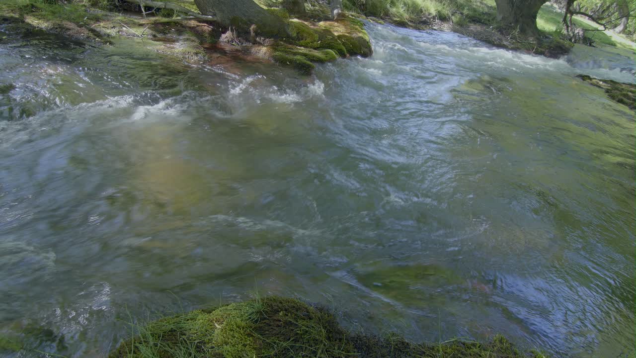 Acqua di sorgente primo piano ruscello in time-lapse