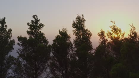 Antena---Revelación-De-La-Puesta-De-Sol-Detrás-De-Los-árboles-En-Keri,-Zakynthos,-Grecia